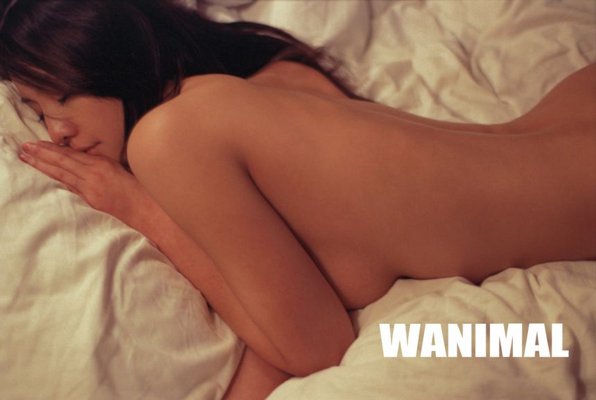 ʥ WANIMALƷ ͼ (ʮ) [81P] 1ҳ