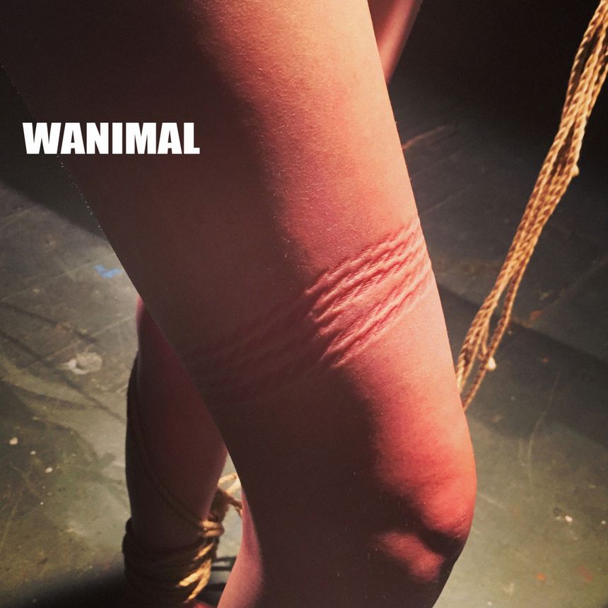 [64P] ͼ ʥ WANIMALƷ (ʮ) 4ҳ