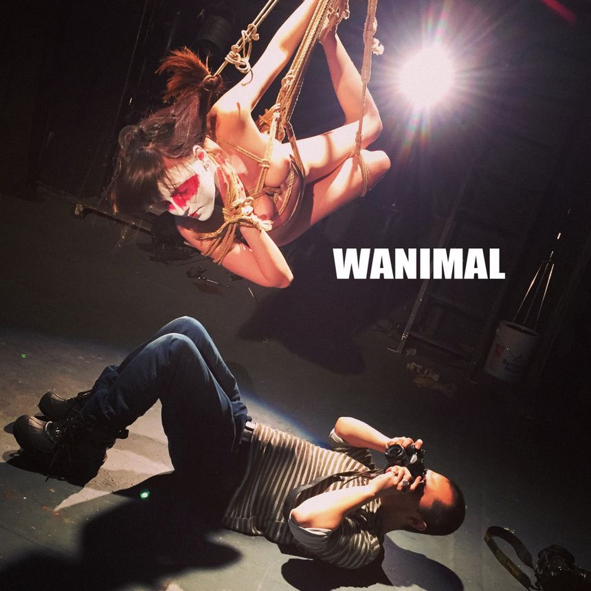 [64P] ͼ ʥ WANIMALƷ (ʮ) 4ҳ