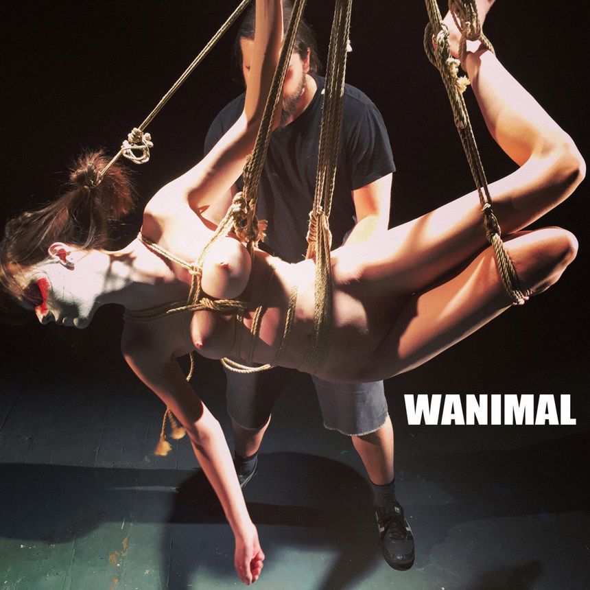 [64P] ͼ ʥ WANIMALƷ (ʮ) 4ҳ