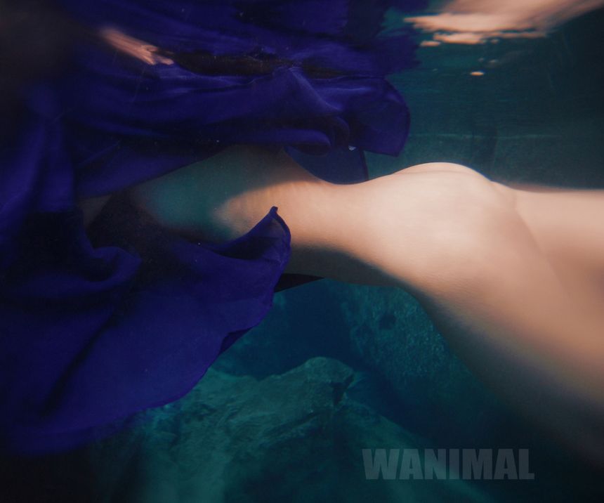 WANIMALƷ ͼ () [107P] ʥ 1ҳ